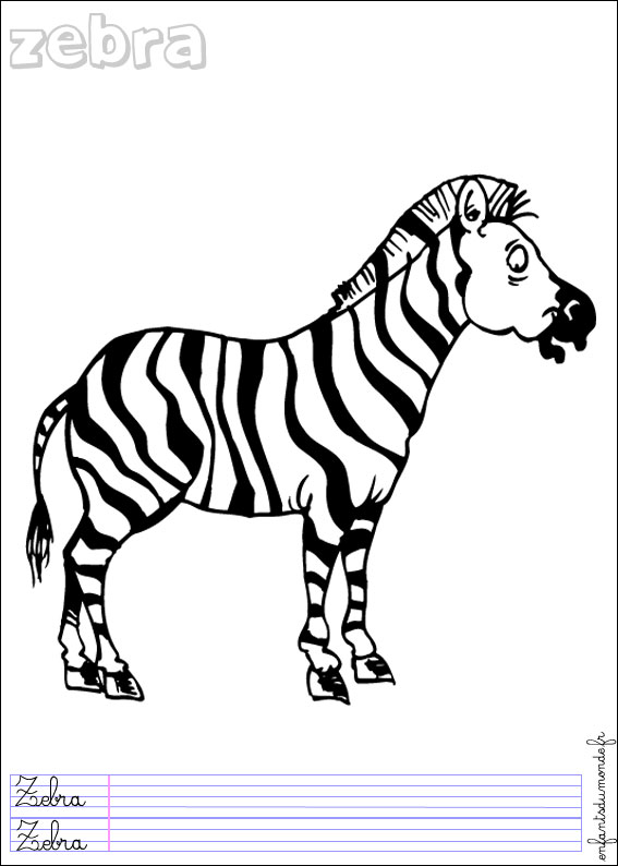 coloriage zebre 2
